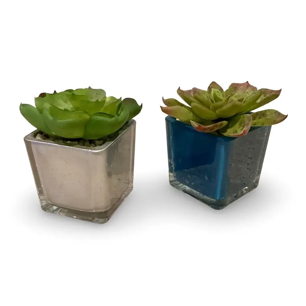 Set of Artificial Succulents
